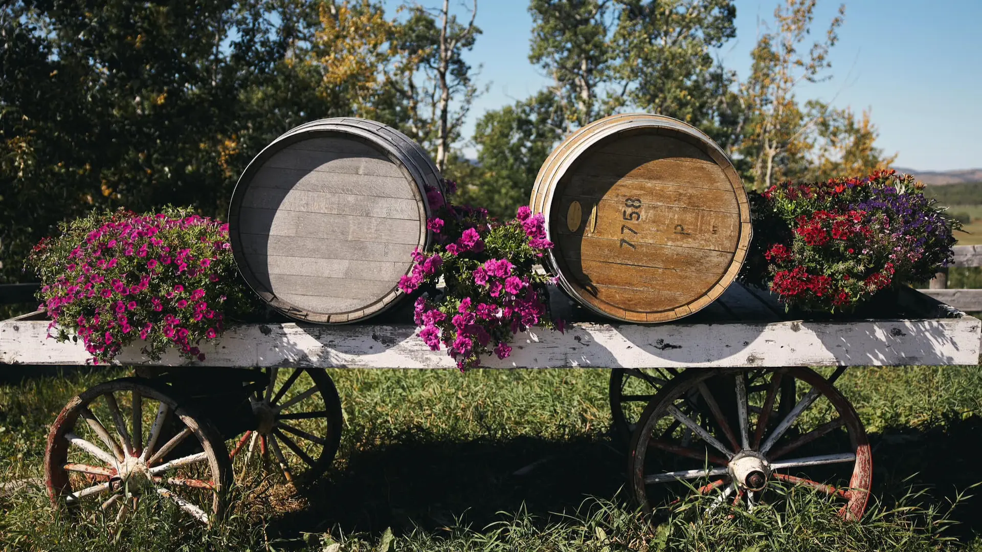 Wine tour in The Spirit Hills Winery