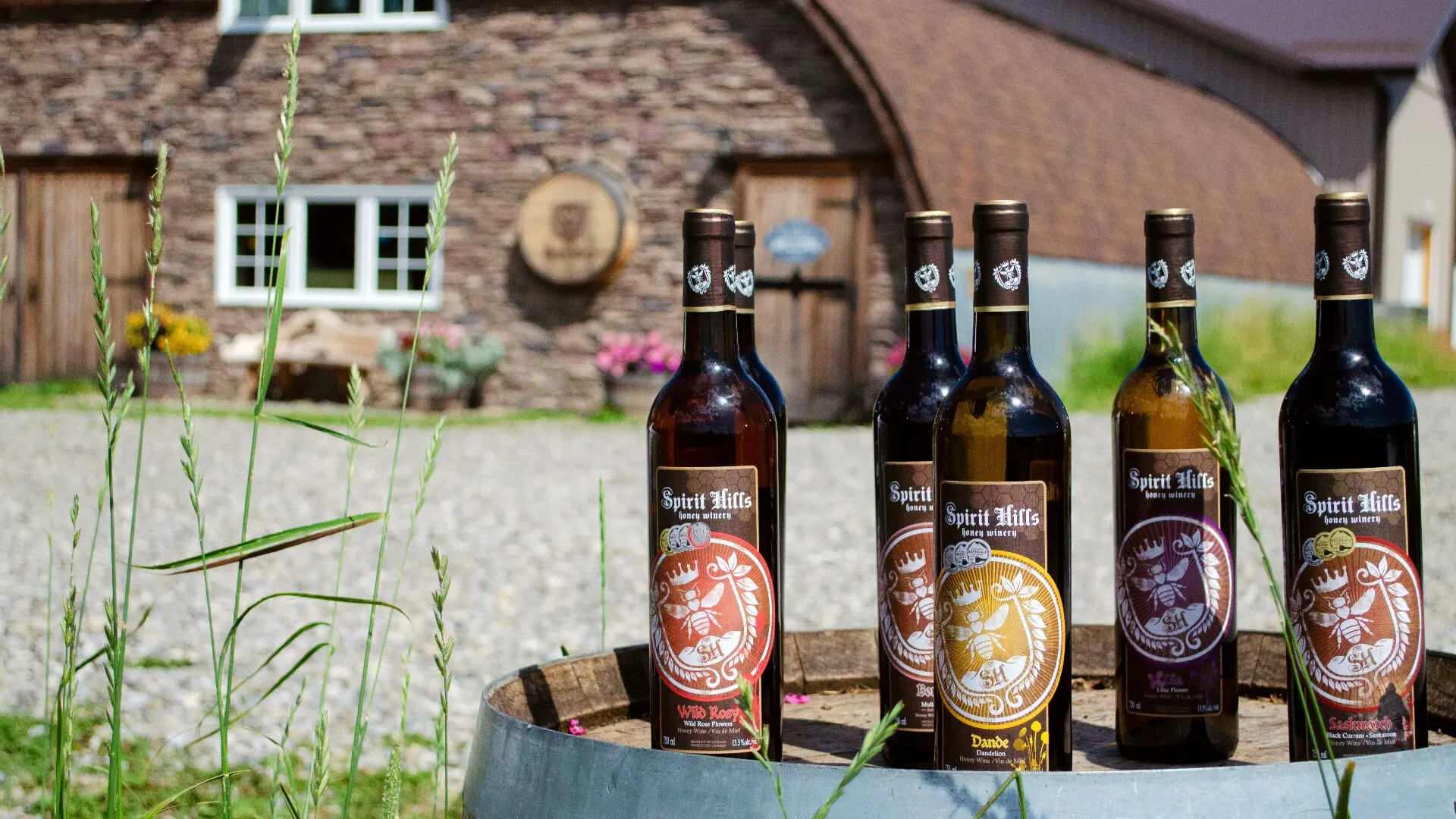 Wine tour in The Spirit Hills Winery